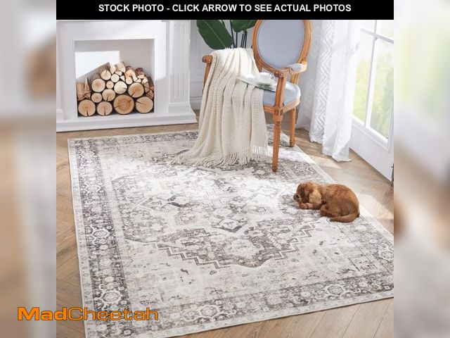 Lot 74-11551849 - jinchan Area Rug 3x5 Entryway Rug Indoor Greige Vintage Washable Thin Doormat Non-Slip Lightweight B...