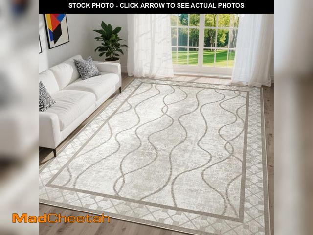 Lot 74-11549182 - DweIke 4x6 Area Rug for Living Room, Machine Washable Rug Carpet for Rooms Decor, Low Pile Bordered ...