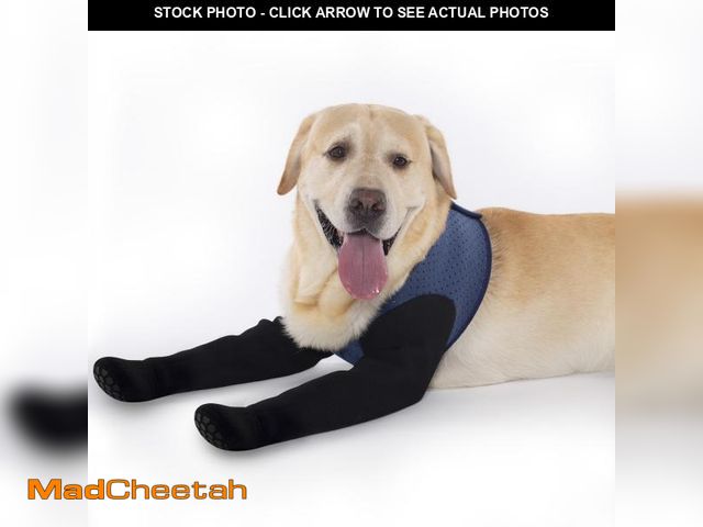 Lot 74-12305122 - COODEO Dog Socks to Prevent Licking Paws, Dog Healing Bootss &amp; Paw Protectors with Non-Slip Bott...