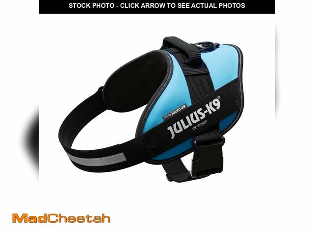 Lot 74-12702319 - Julius-K9, 16IDC-AM-2, IDC Powerharness, Dog Harness, Size: 2, Aquamarine - USED