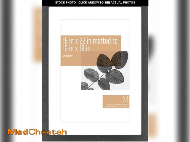Lot 74-12137859 - MCS Studio Gallery 16x22 Poster Frame, Display Pictures 12x18 With Mat or 16x22 Without Mat, Vertica...