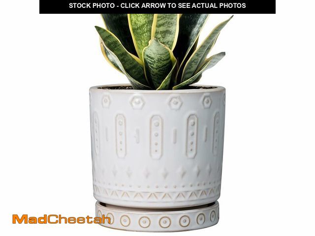 Lot 74-14266656 - Eightpot Pot for Plants 6 Inch - Ceramic Planter for Indoor Plants Decorative Plant Pot with Drainag...