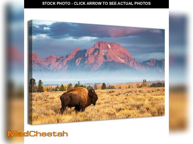 Lot 74-12152432 - Cow Pictures Wall Decor Grand Teton National Park Wall Art Sunset Mountains Landscape Canvas Picture...