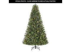 Lot 74-12771982 - undefined