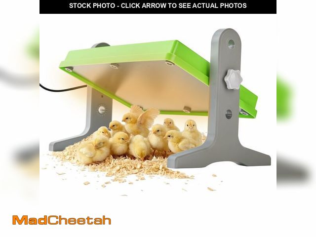 Lot 74-13569352 - Fuzzy Bird Chick Brooder (12''*8'') Brooder Heater for Chicks Ducks and Birds Incubation Heating Kee...