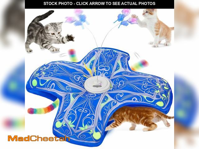 Lot 74-14152020 - Qraxond Interactive Cat Toys for Indoor Cats,[Newly Upgraded] Rechargeable Touch Activated Hide and ...