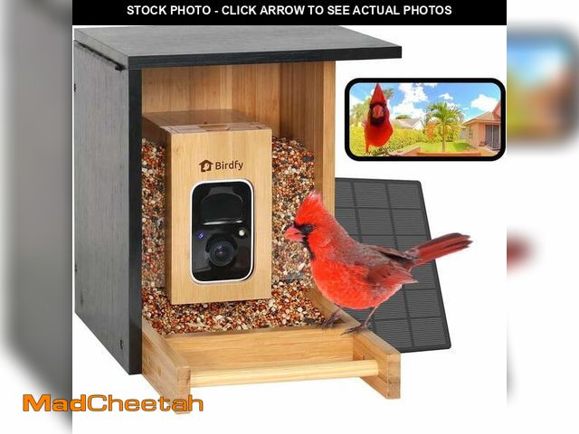 Lot 74-12788912 - Birdfy Smart Bird Feeder with Camera, High-End Bamboo, Mini in Size, Solar Powered, Auto Capture Bir...