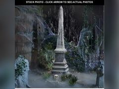 Lot 74-12772384 - undefined