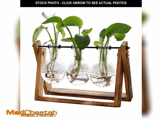Lot 74-11986345 - XXXFLOWER Plant Terrarium with Wooden Stand, Air Planter Bulb Glass Vase Metal Swivel Holder Retro T...