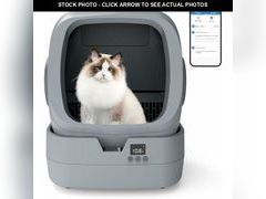 Lot 74-13710734 - undefined