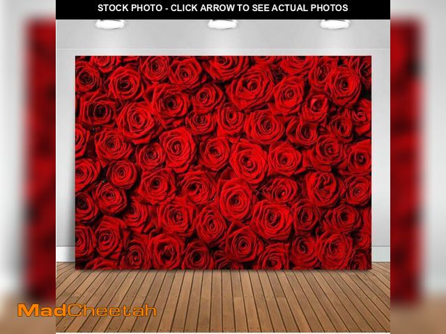 Lot 74-13566491 - Avezano Valentine's Day Backdrop Rose Flower Wall Photo Background Red Rose Wedding Bridal Shower Ph...