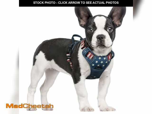 Lot 74-14212836 - rabbitgoo Dog Harness No Pull with 2 Leash Clips, Adjustable Soft Padded, Reflective Oxford No Choke...