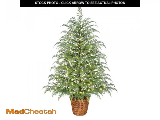 Lot 74-12526274 - 4' Pre-Lit Green Cypress Artificial Christmas Potted Tree with 100 Warm White Twinkle LED Lights, by...