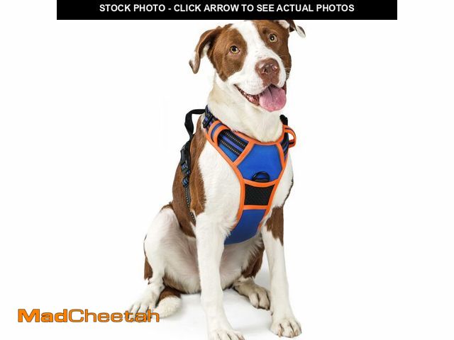 Lot 74-14338746 - rabbitgoo Dog Harness No Pull with 2 Leash Clips, Adjustable Soft Padded, Reflective Oxford No Choke...