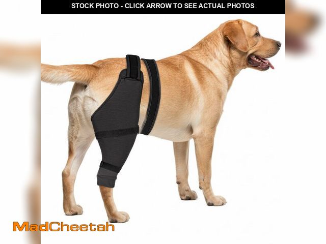 Lot 74-14149118 - Joypig Dog Rear Leg Sleeve to Stop Licking, Hind Leg Protector for TPLO Recovery, ACL Surgery, Wound...
