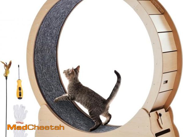 Lot 74-12367899 - VEVOR Wooden Cat Exercise Wheel, 43.3" Large Cat Treadmill Wheel for Indoor Cats, Cat Running Wheel ...