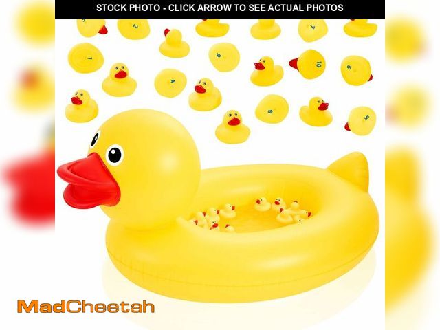 Lot 74-14433766 - WinnerWhy Duck Pond Matching Game for Kids, Inflatable Duck Pool with 20 Numbered Floating Rubber Du...