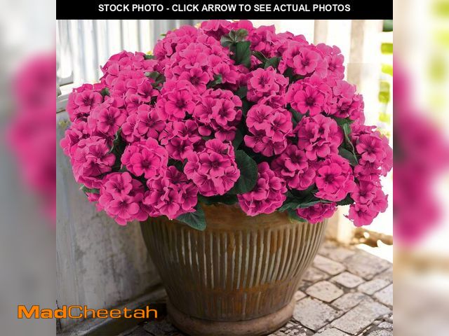 Lot 74-14209362 - Hananona 6 Pcs Artificial Geranium Flowers for Outdoors Geraniums Silk Flowers Outdoor UV Resistant ...
