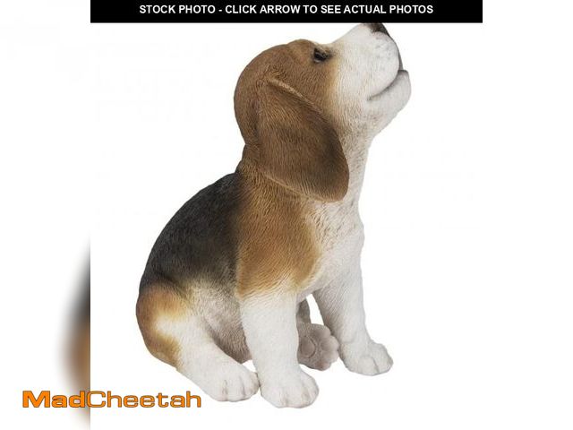 Lot 74-11547041 - Beagle Puppy Howling - UNUSED