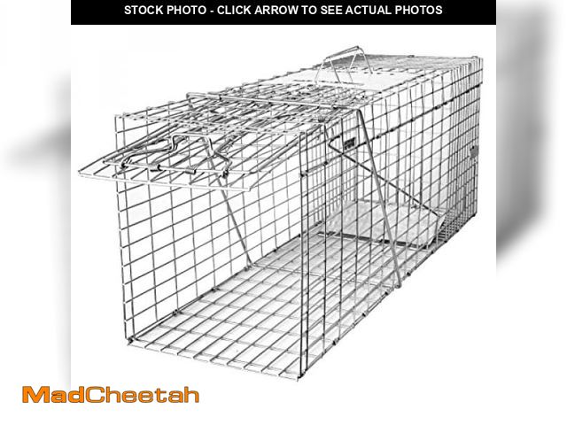 Lot 74-12153483 - SZHLUX 32" Live Animal Cage Trap, Heavy Duty Folding Raccoon Traps, Humane Cat Trap for Stray Cats, ...