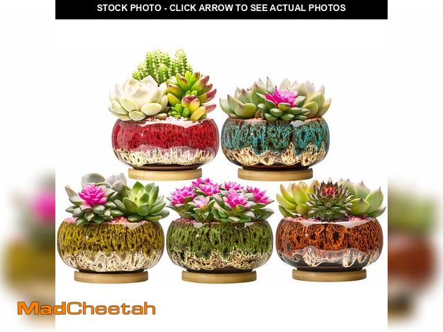 Lot 74-14210600 - LamDawn Cute Ceramic Succulent Garden Pots, Planter with Drainage and Attached Saucer, Set of 5 -Pla...