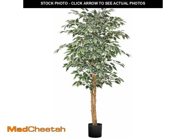 Lot 74-13073823 - VEVOR 5FT Artificial Ficus Tree with Black Pot, Tall Faux Ficus Plant with Natural Wood Trunk and Re...