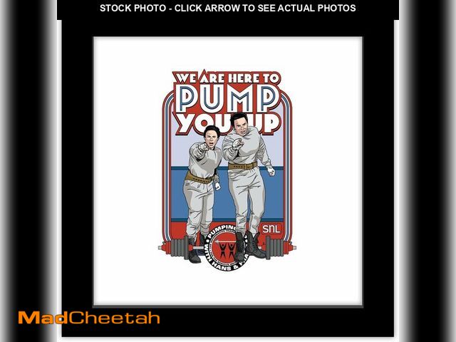 Lot 74-12695958 - Trends International Gallery Pops Saturday Night Live - Hans &amp; Franz Pump You Up Illustration Wa...