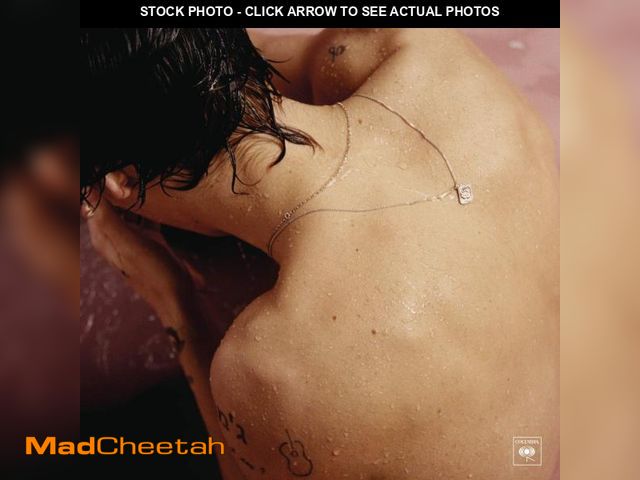 Lot 74-12307569 - Harry Styles - USED