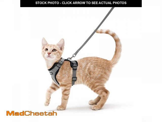 Lot 74-12312083 - rabbitgoo Cat Harness and Leash for Walking, Escape Proof Soft Adjustable Vest Harnesses for Cats, E...