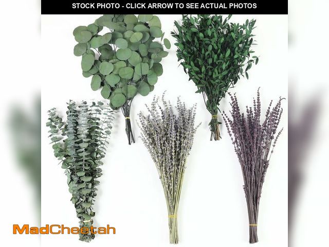 Lot 74-14376768 - 120+ Pcs Mixed Dried Eucalyptus &amp; Lavender Flowers for Shower, Preserved Natural Eucalyptus Leav...