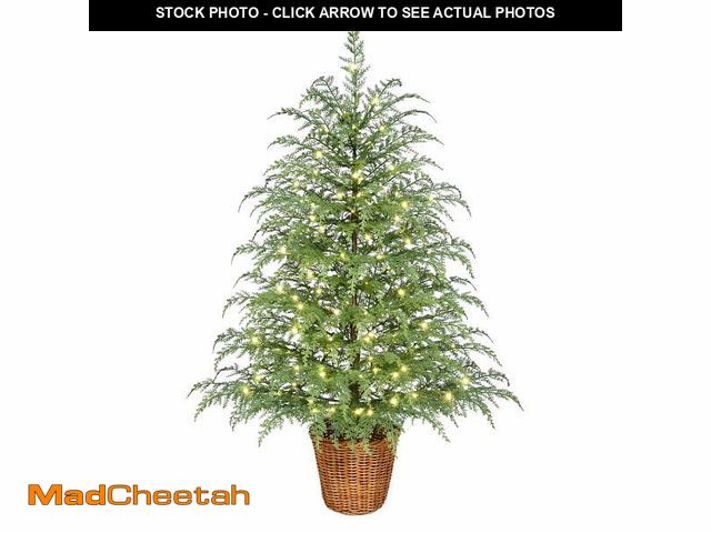 Lot 74-12860904 - 4' Pre-Lit Green Cypress Artificial Christmas Potted Tree with 100 Warm White Twinkle LED Lights, by...