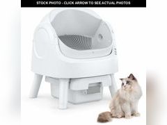 Lot 74-13743394 - undefined