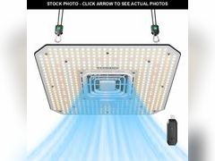 Lot 74-11558558 - undefined