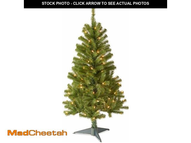 Lot 74-13382451 - National Tree Company 4 ft Pre-Lit Grande Canadian Fir Mini Artificial Christmas Tree, 100 Clear Lig...