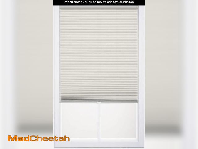 Lot 74-12396547 - DEZ FURNISHINGS Cordless 1" Light Filtering Cellular Shade, 38"W x 48"H, Cream - UNUSED