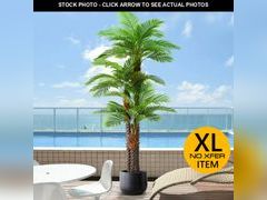 Lot 74-12786661 - undefined