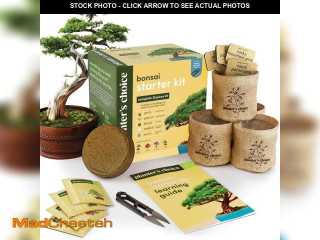 Lot 74-11547494 - Bonsai Starter Kit - Gardening Easter Gift for Women &amp; Men - Bonsai Tree Growing Garden Crafts H...