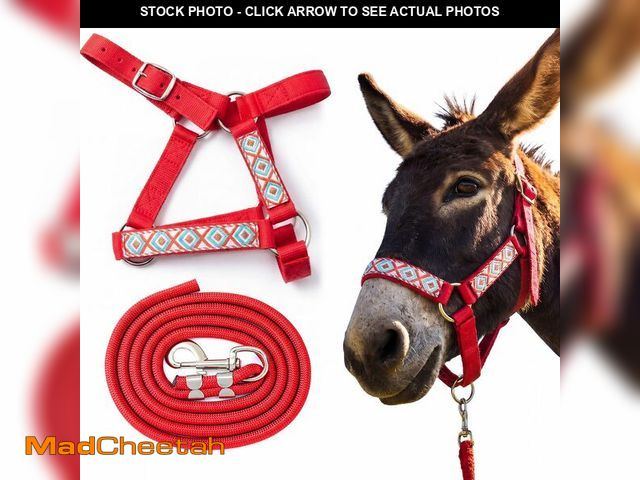 Lot 74-14155171 - Yeyeplum 1 Set Miniature Donkey Halter with Lead Ropes, Cute and Stylish Adjustable Nylon Head Colla...