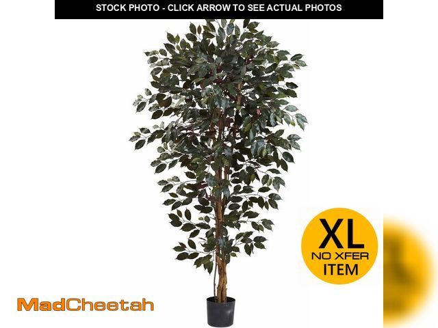 Lot 74-13073984 - Nearly Natural 6ft. Capensia Ficus Tree - UNUSED