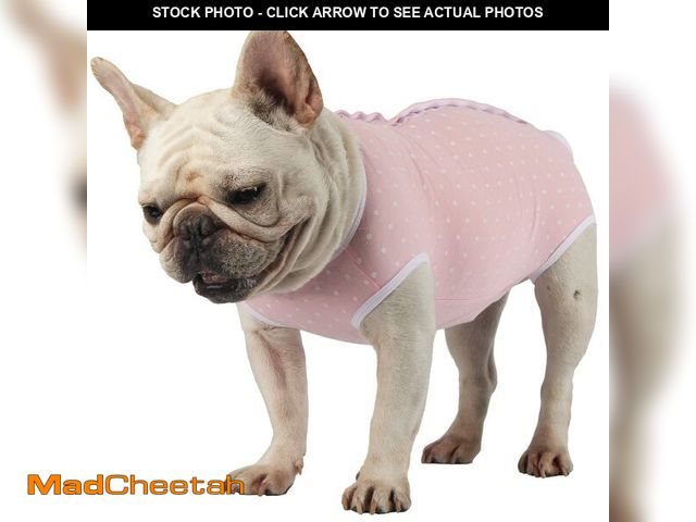 Lot 74-13520927 - Due Felice Dog Diapers Suit Period Onesie for Female Dog Sanitary Panties Male Doggy Heat Diapers Co...