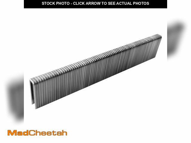 Lot 74-13630921 - Toicann 18 Gauge Norrow 1/4" Crown Staples 304 Stainless Steel 18 GA Staples for Pneumatic, Electric...