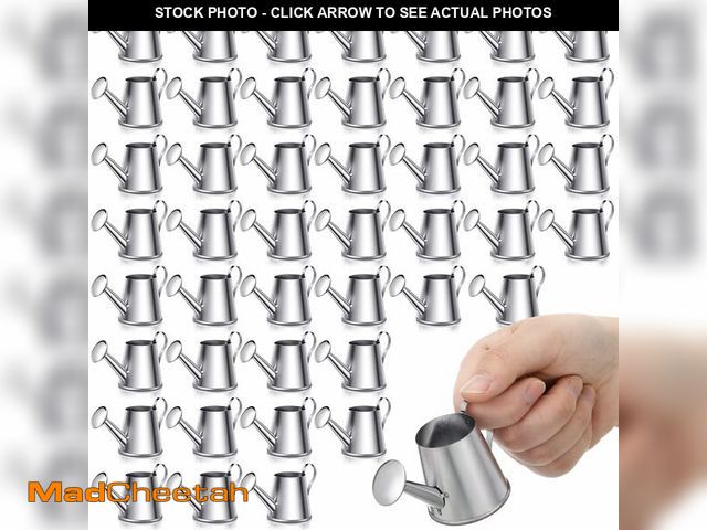 Lot 74-14210675 - Layhit 50 Pcs Mini Watering Can Miniature Galvanized Watering Pot Garden Water Can Mini Kettle for H...