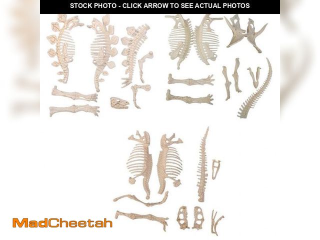 Lot 74-11554502 - NUOLUX 3Pcs 4D Dinosaur Fossil Skeleton Toys DIY For Kids Fossil Skeleton Figure - UNUSED