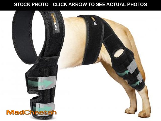 Lot 74-12309709 - Lyderpet ACL Knee Brace for Dogs Back Leg, Canine Care CCL Brace for Dogs Hind Leg, Better Recovery ...