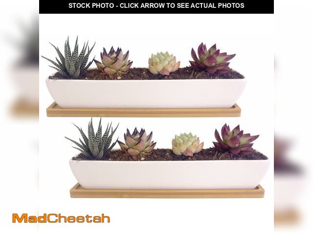 Lot 74-13548923 - SWONVI 2 pcs 11.1 inch Long Rectangle White Ceramic Succulent Planter Pots/Mini Flower Plant Contain...