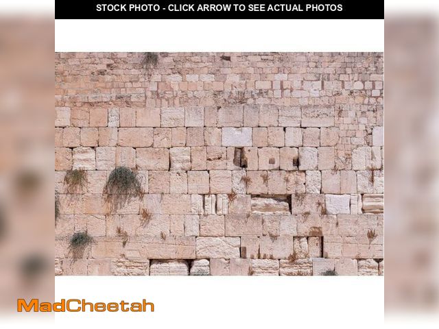 Lot 74-12710896 - CSFOTO 15x10ft Western Wall Backdrop Ancient Jerusalem Photo Background Jerusalem Wailing Wall Backg...