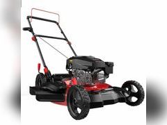 Lot 74-12679241 - undefined