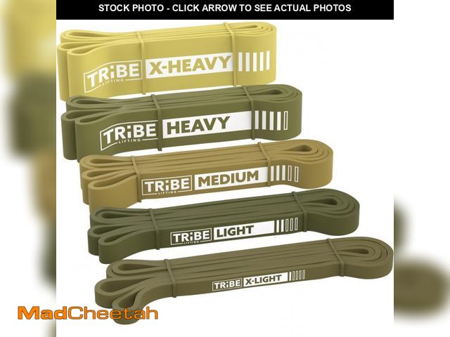 Lot 74-11552963 - Long Resistance Bands for Working Out Men and Women - Set of 5 Pull-Up Bands, Pull Up Assistance Ban...