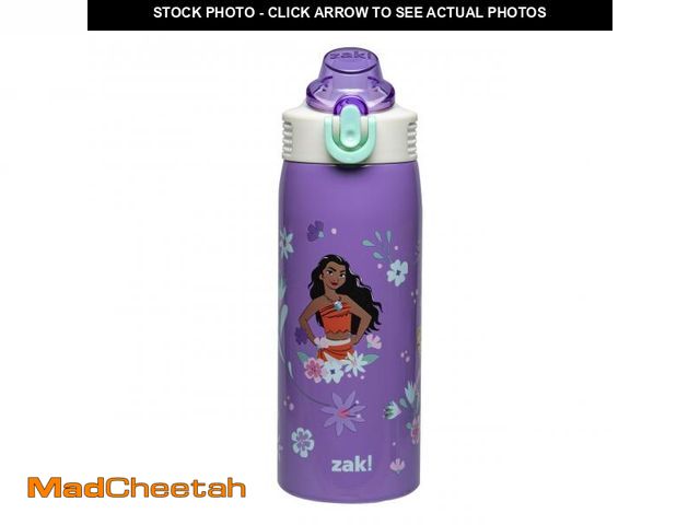 Lot 74-11559454 - Zak Designs Disney Princess Sage Kids Water Bottle For School or Travel, 19oz Stainless Steel Water ...