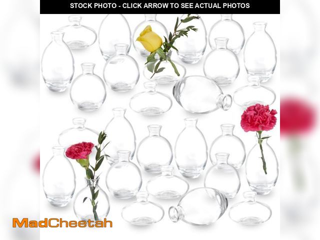 Lot 74-12302414 - 28 Clear Bud Vases in Bulk, Glass Small Bud Vase for Centerpieces, Mini Bud Vase Set for Flowers, Vi...